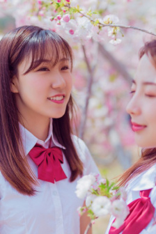 最近最新MV大全免费观看